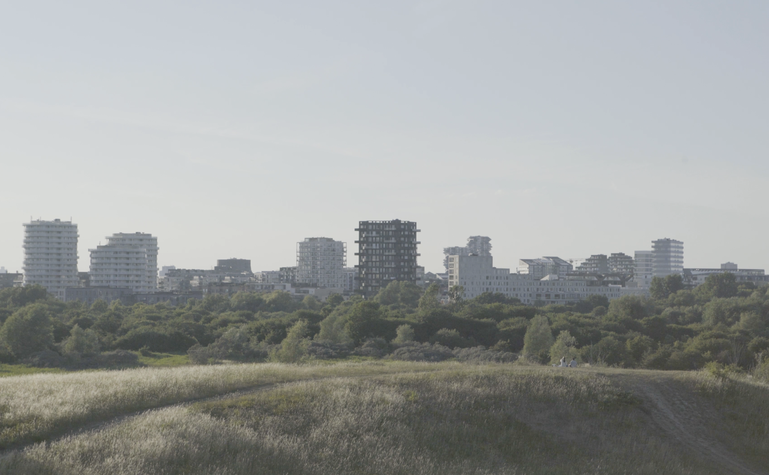 Portræt af Amager Fælled – en film af Jeppe Gregersen og Mathias Rasmussen