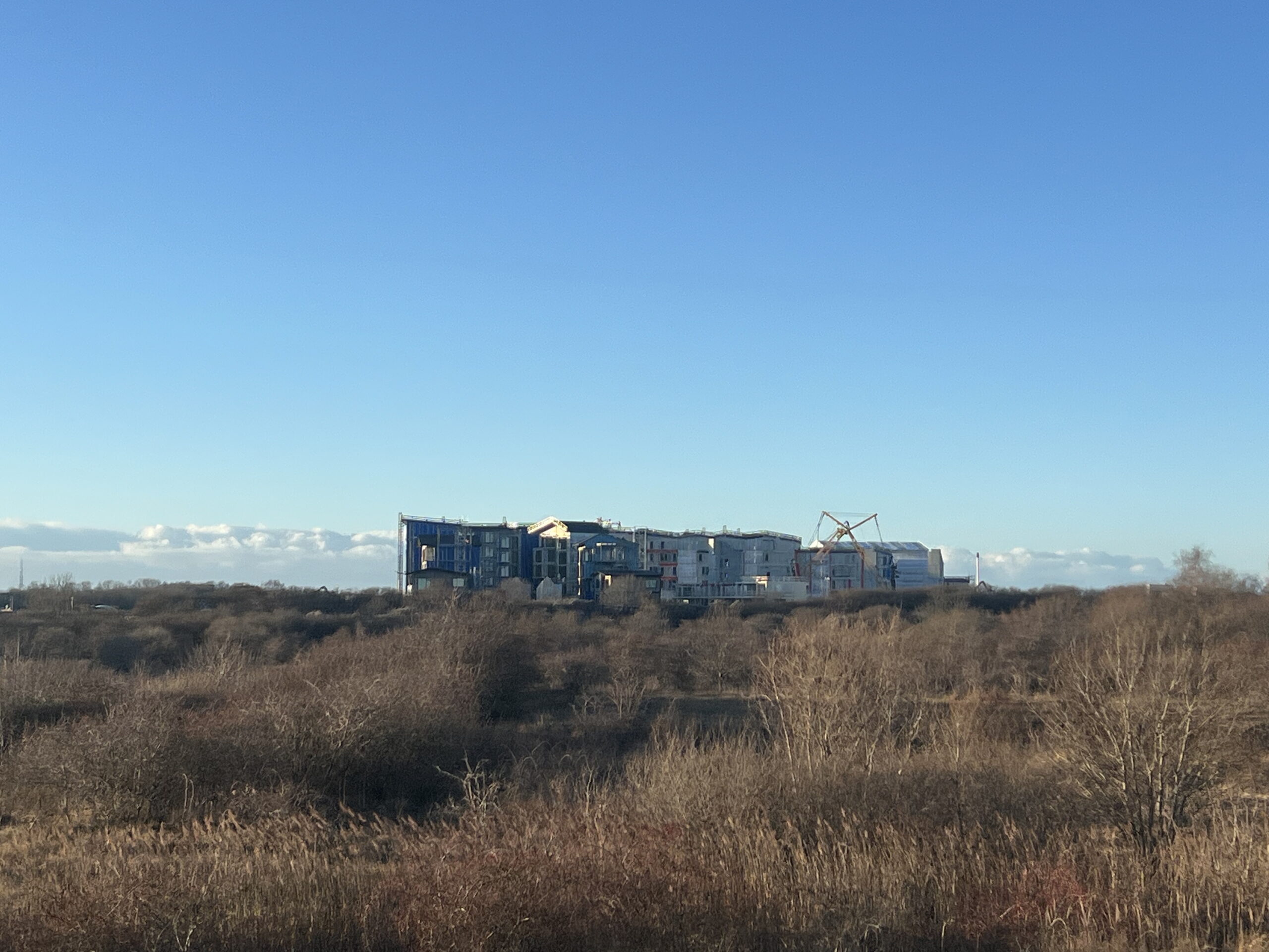 Amager Fælled – en outpost settlement i naturen