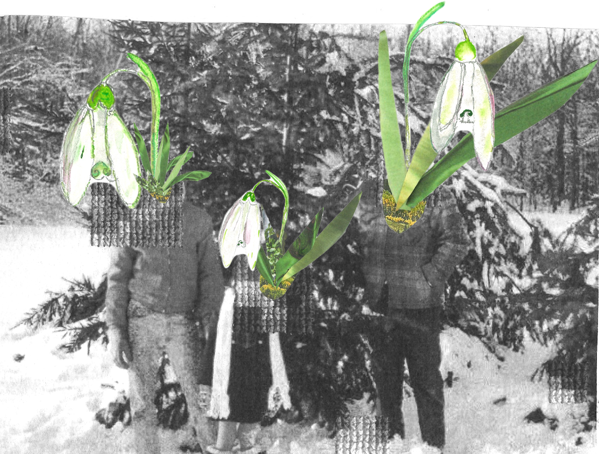 Et par forårsøjeblikke